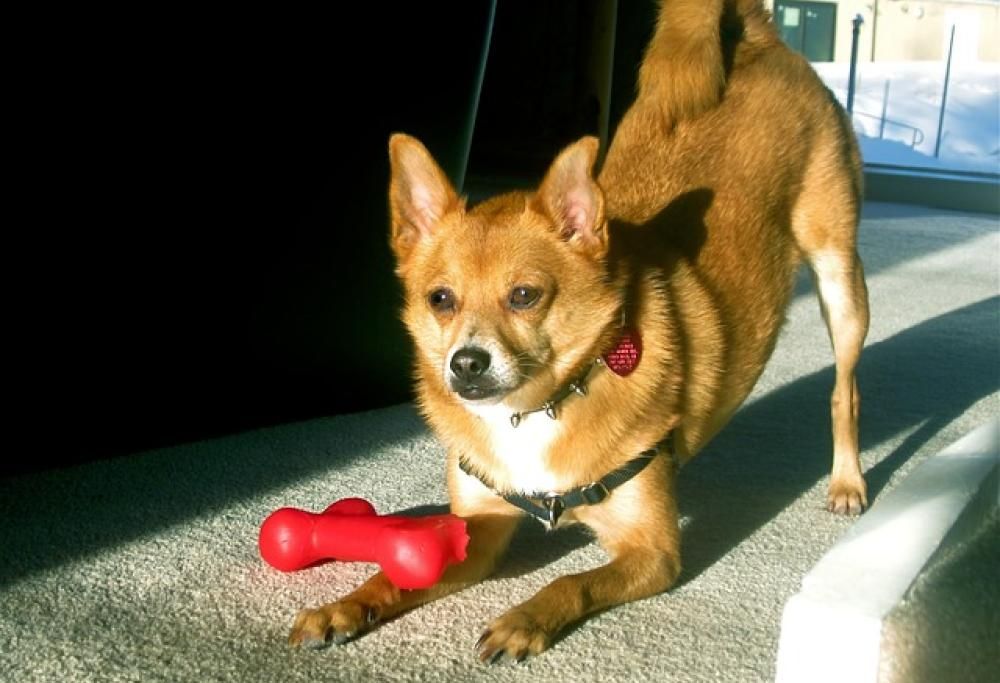 Stanno solo giocando…