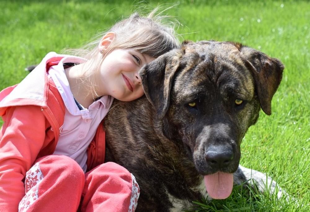 Attenti al cane… ma anche al bambino