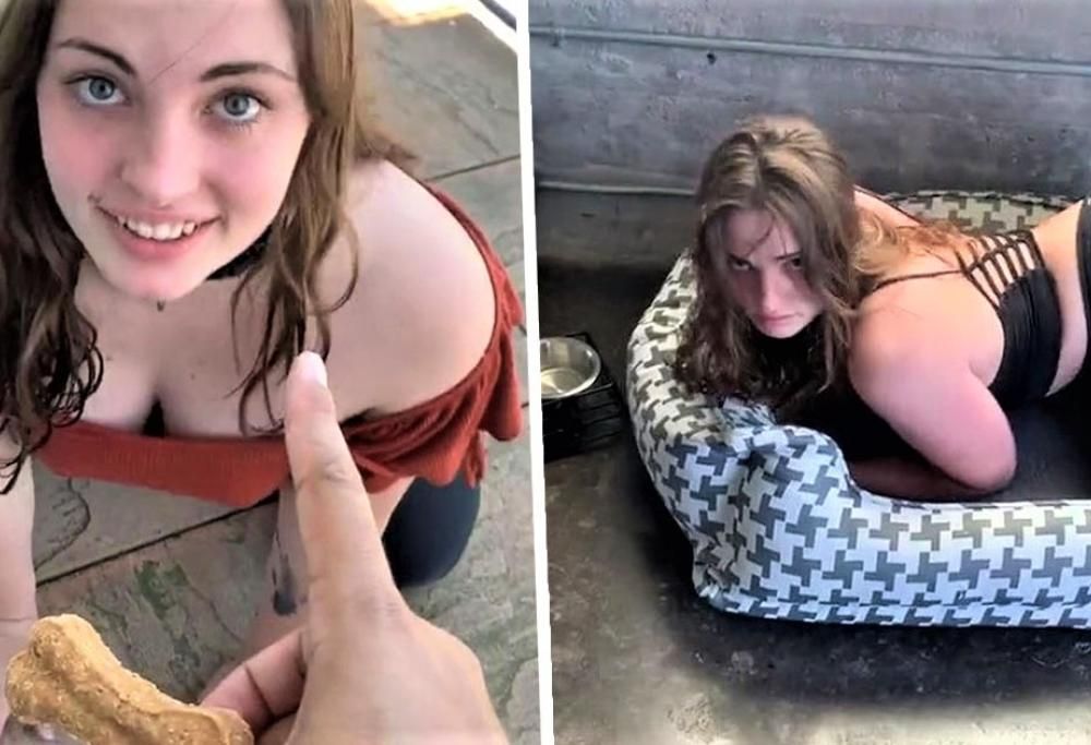 Donna lascia il suo lavoro per guadagnare fingendosi un cane