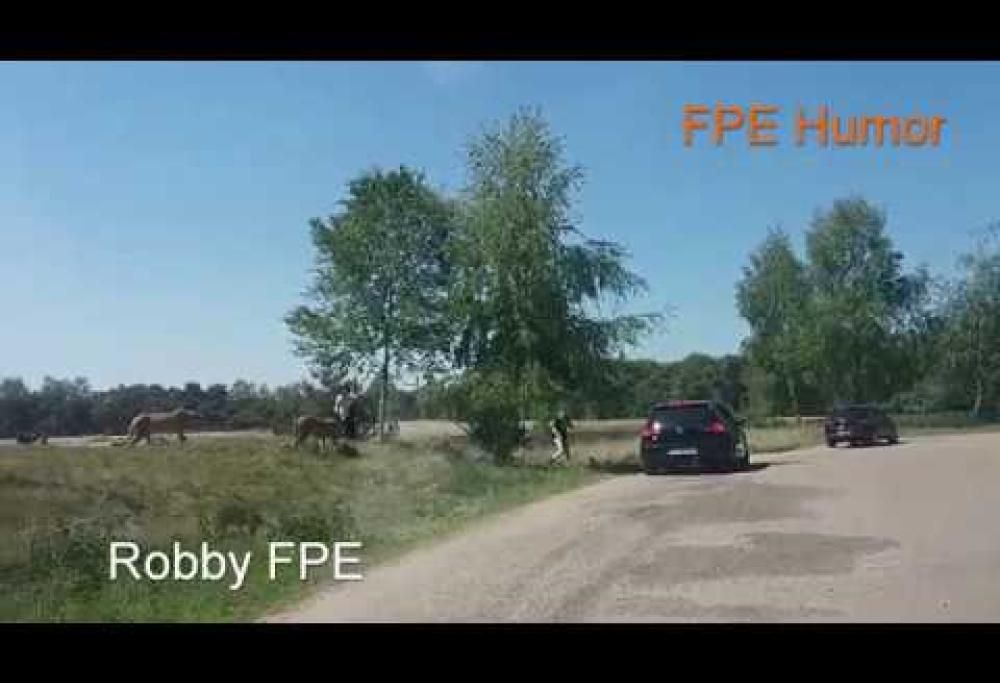 Scende dall’auto con la figlia durante il safari: aggredite dai ghepardi