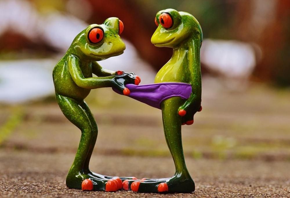 Puzza di merda e lei non ci sta