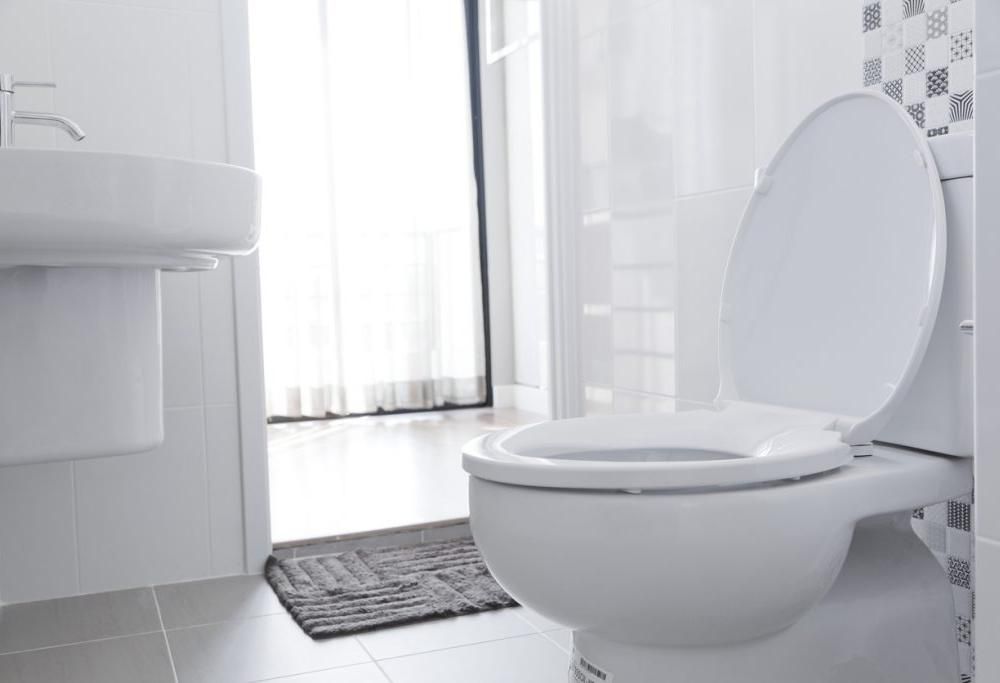 Questa toilette intelligente ti riconoscerà in base alla forma del tuo orifizio