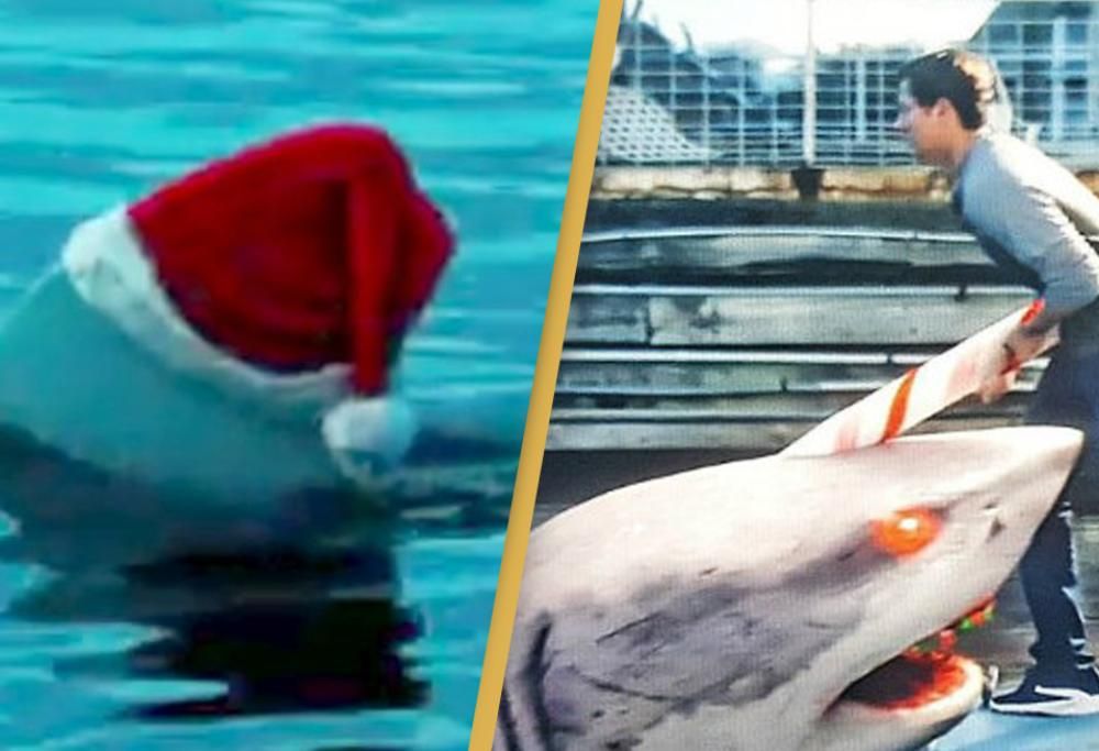 Santa Jaws: un film dove uno squalo assassino indossa un cappello natalizio