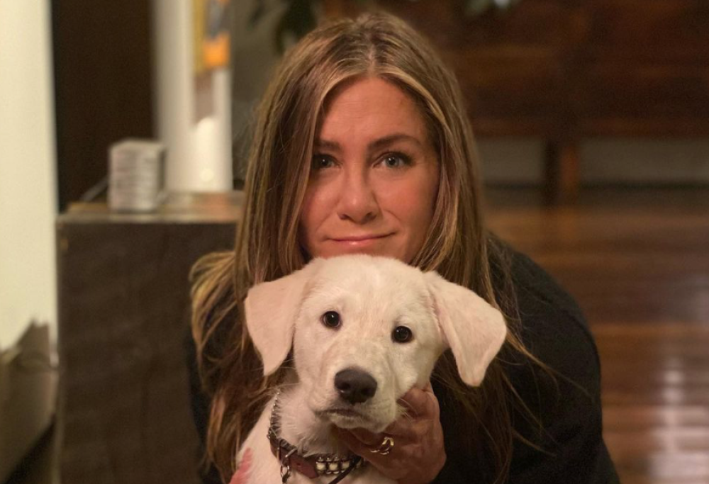 Jennifer Aniston posta la foto con l’addobbo di Natale a tema Covid e scatena la polemica
