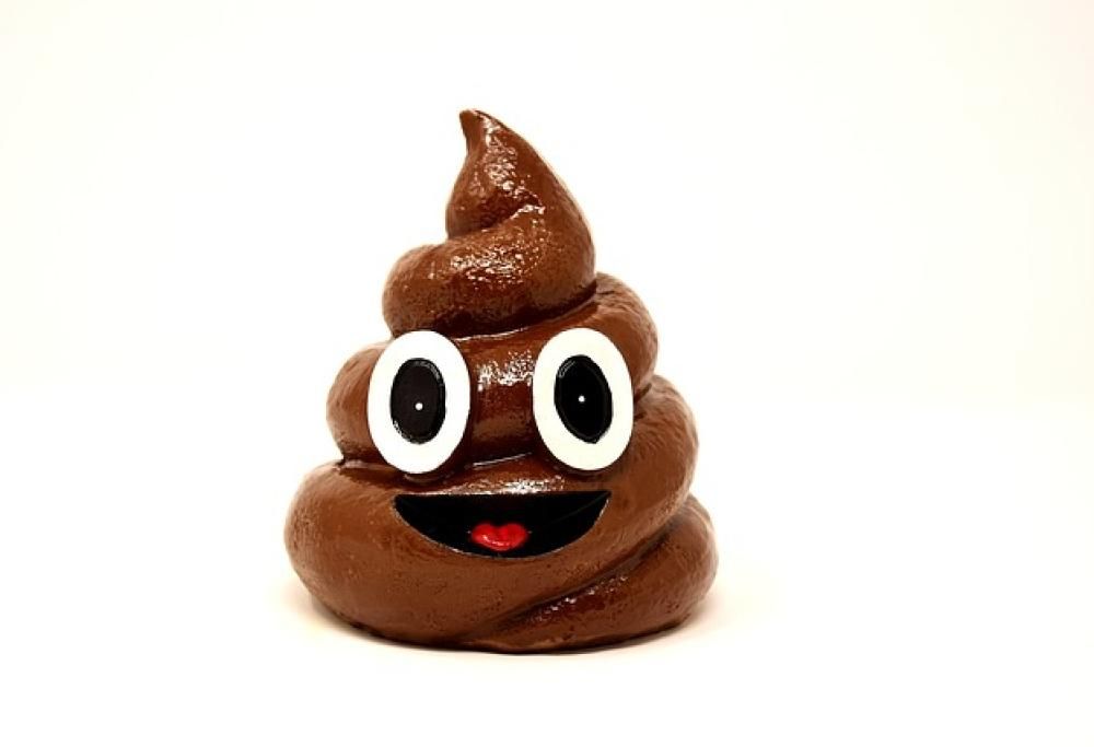 Cacca a domicilio per chi detestiamo