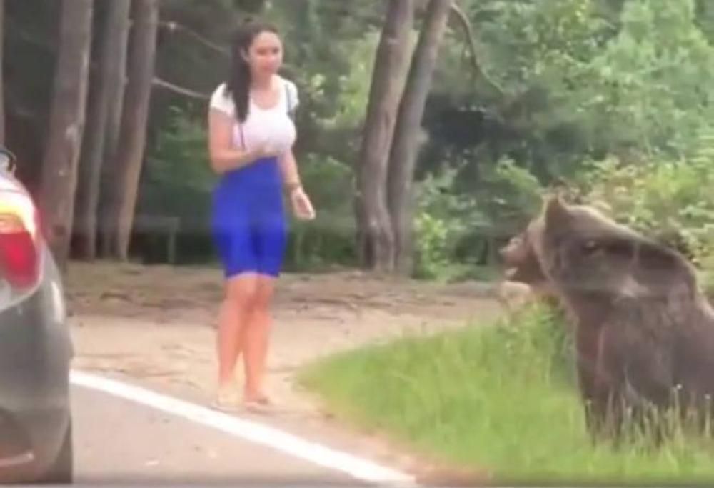 Ragazza rischia di essere aggredita da un orso per scattare un selfie