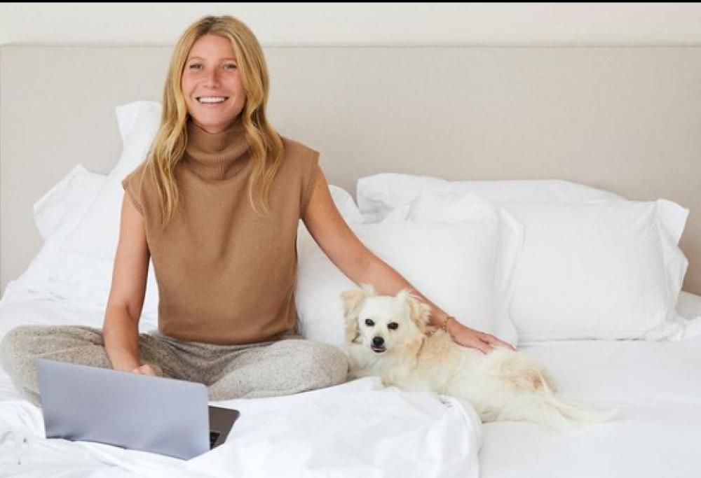 “Vulva Book”: l’idea regalo per Natale proposta da Gwyneth Paltrow
