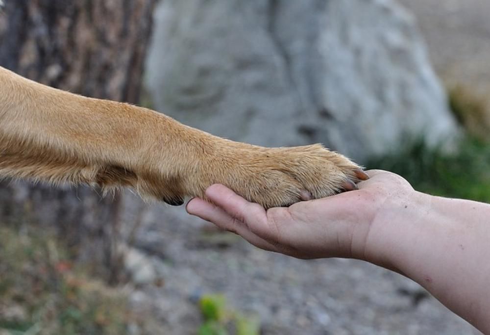Give me five!