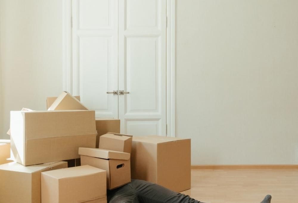 Figlio di 2 anni ordina 1800 euro di mobili