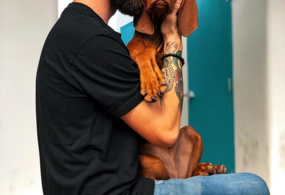 Più germi nella barba degli uomini che nel pelo del cane