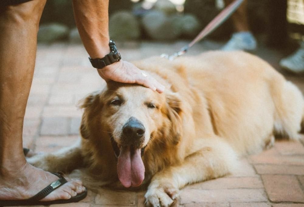 L’importanza della routine