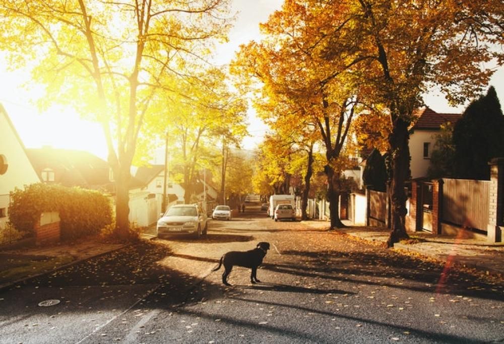 Perché si litiga con i vicini?