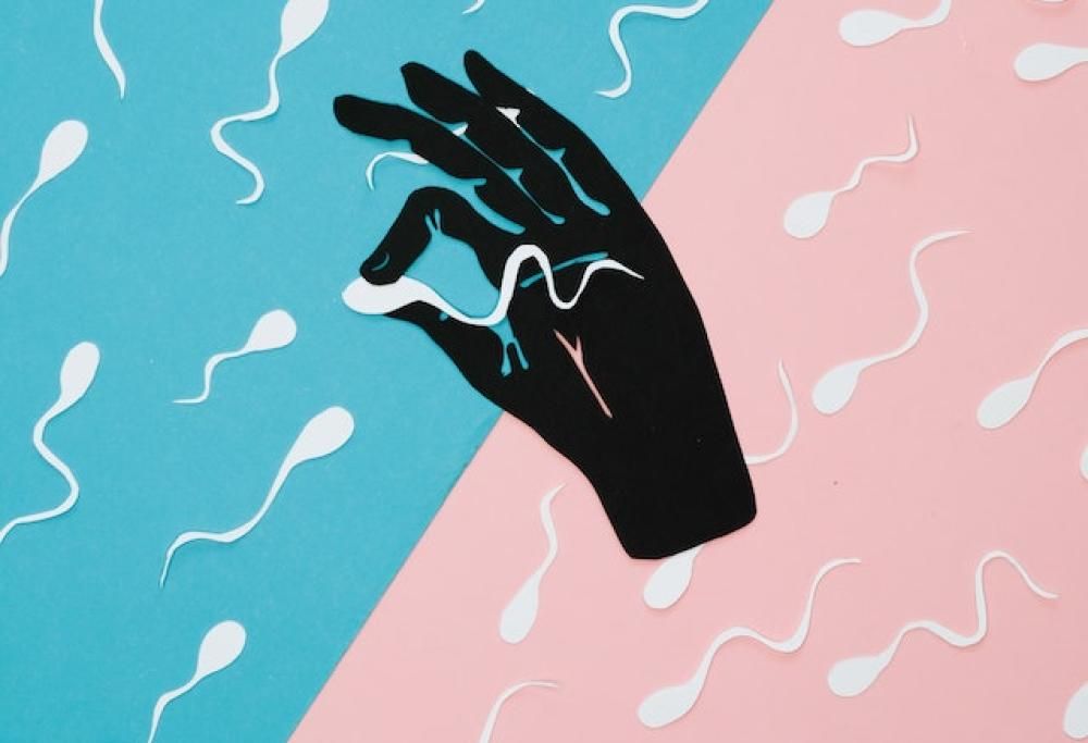 Plastica nello sperma umano