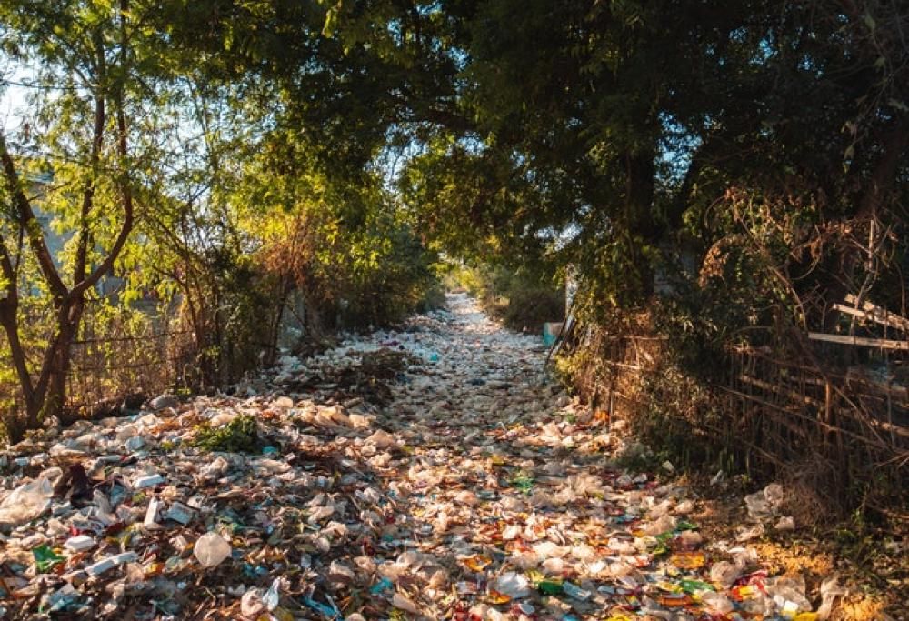 Troppa plastica e ce la mangiamo