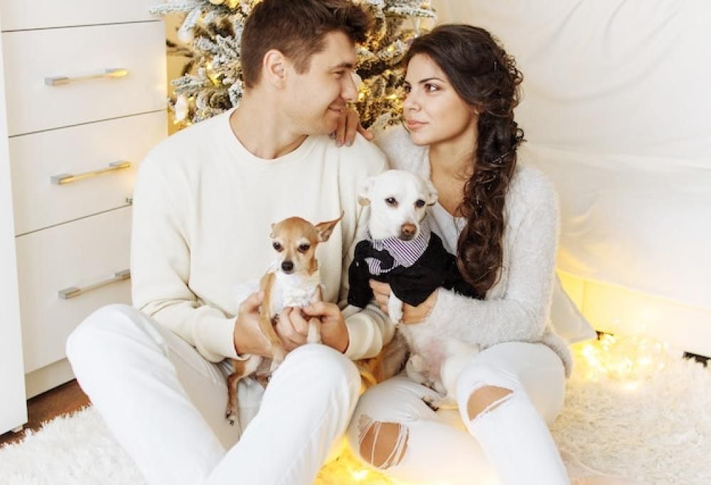 Divorzio: con chi sta il cane?