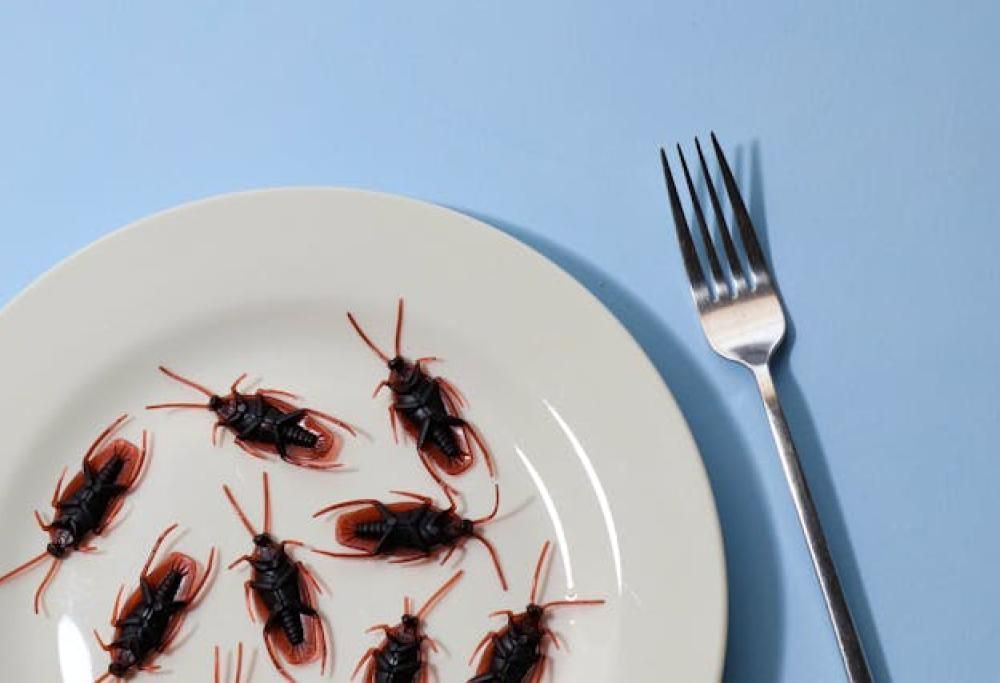 Mettono scarafaggi nei piatti per non pagare il conto al ristorante