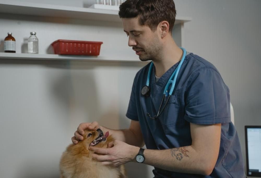 Come far andar giù la pillola