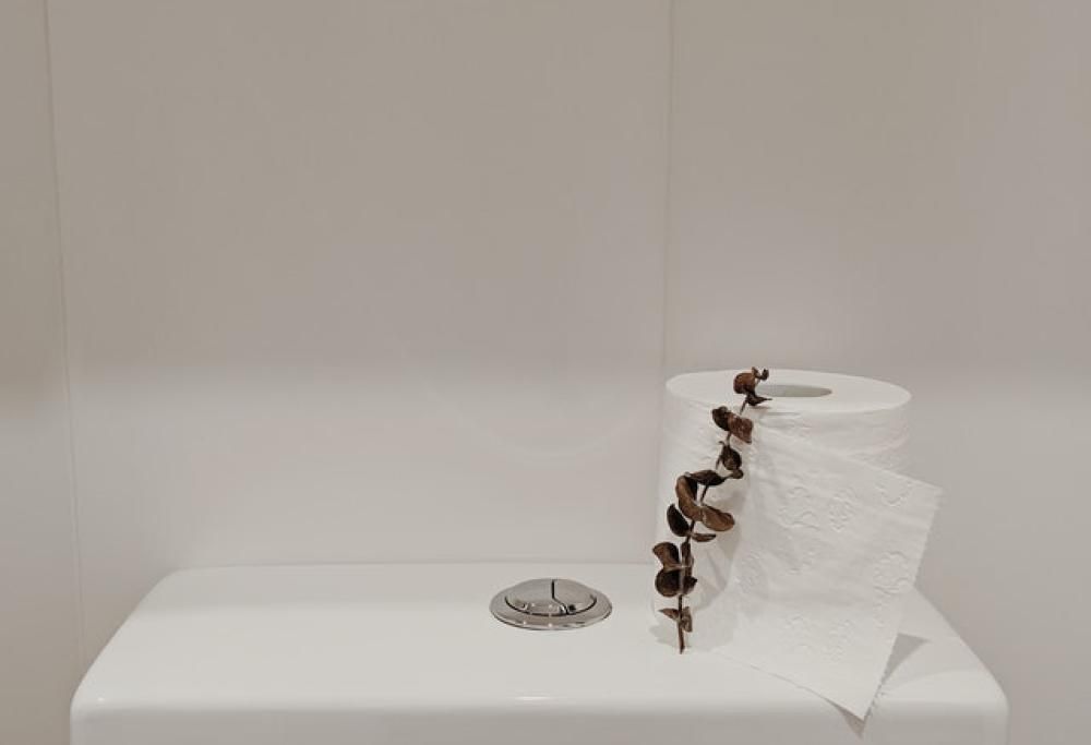 Sciacquone troppo rumoroso, risarcimento