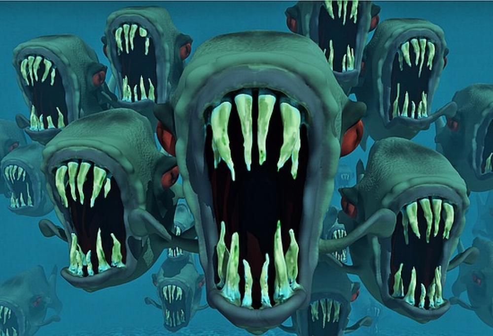 Scappa dalle api e viene divorato dai piranha