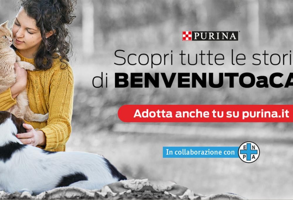 Scopri #BENVENUTOACASA la piattaforma dedicata alle adozioni