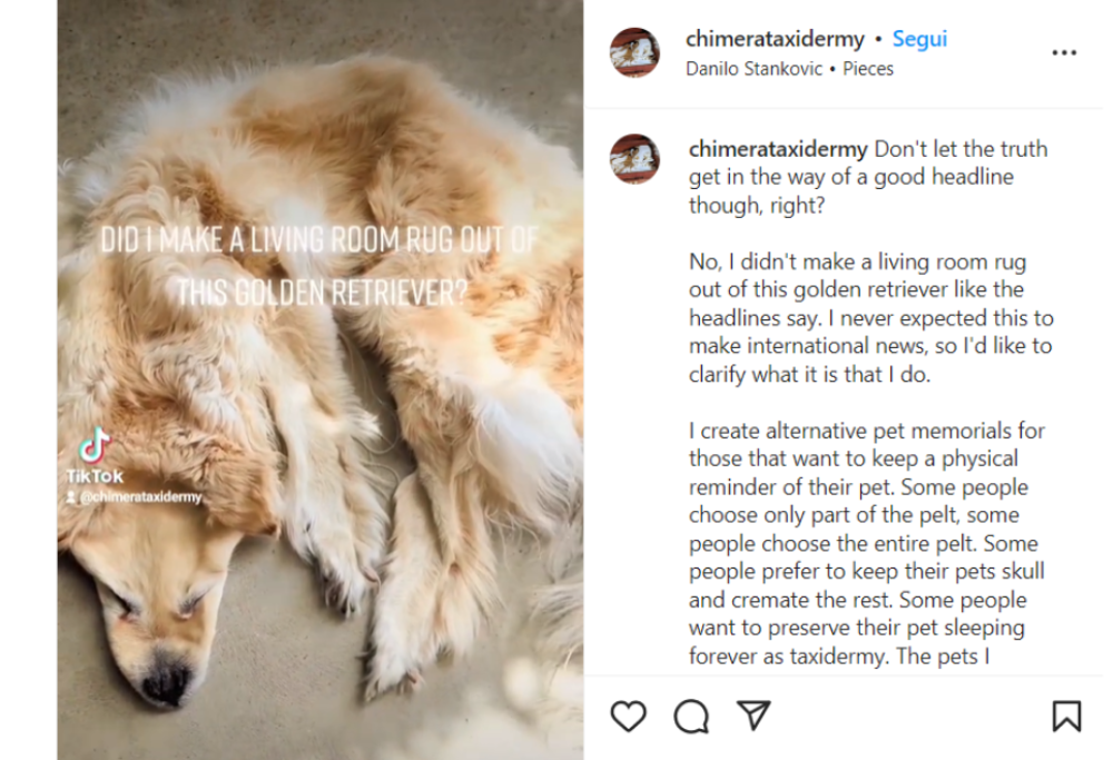 Fanno un tappeto con il cane morto: pioggia di critiche