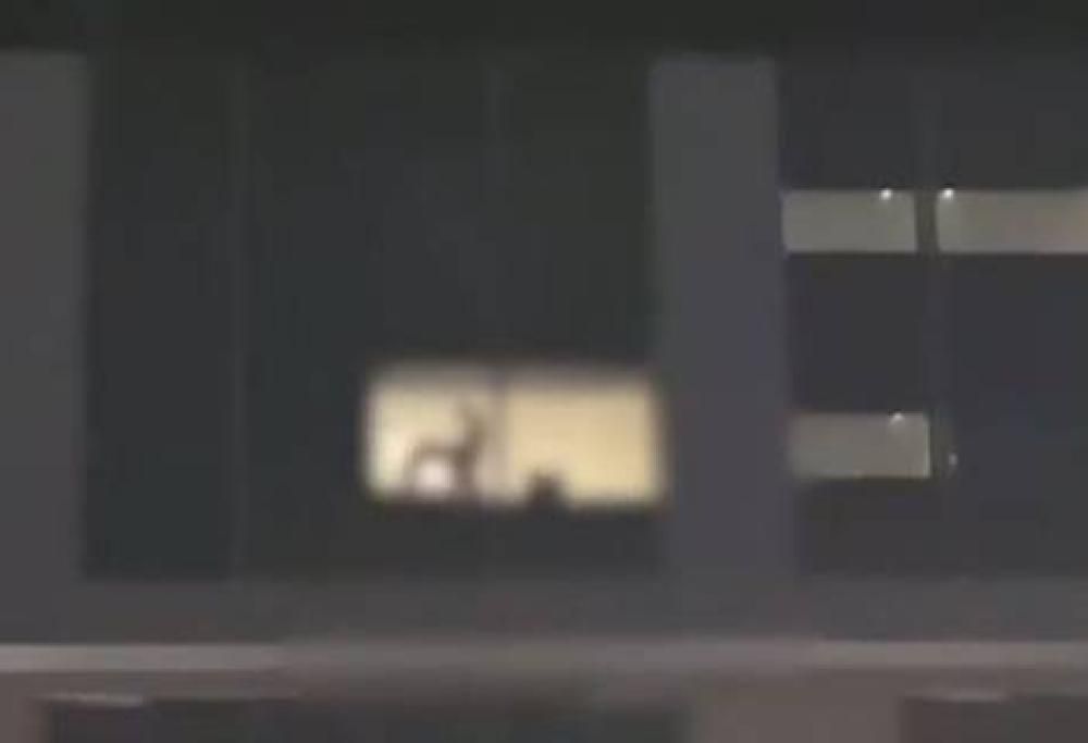 Coppia avvistata a fare sesso dalla finestra durante un festival religioso