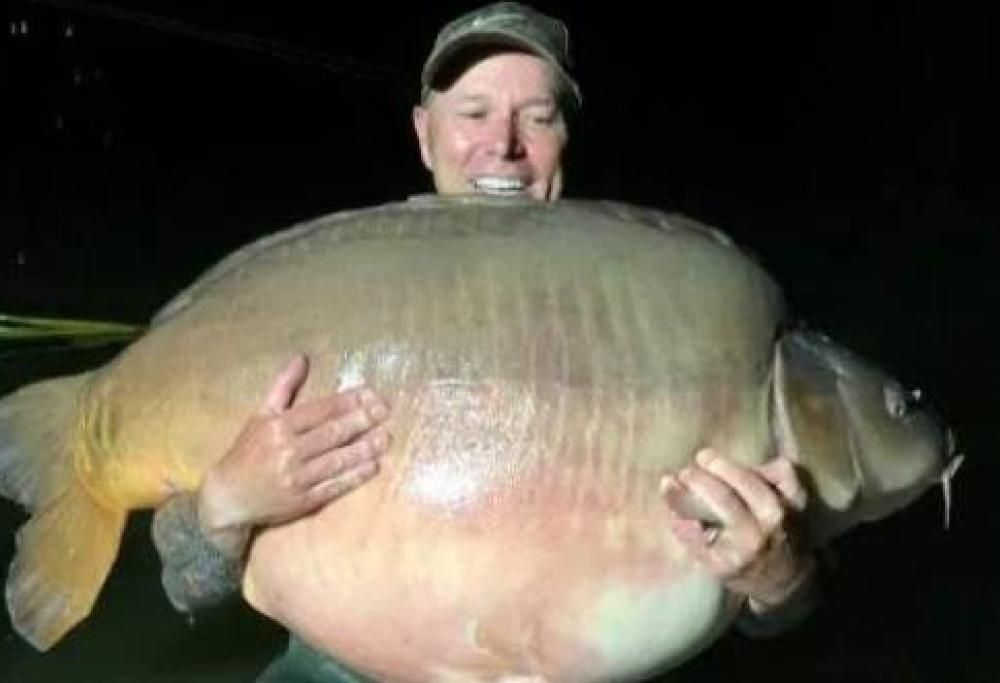 Pescatore cattura una carpa incredibile da 50 Kg!