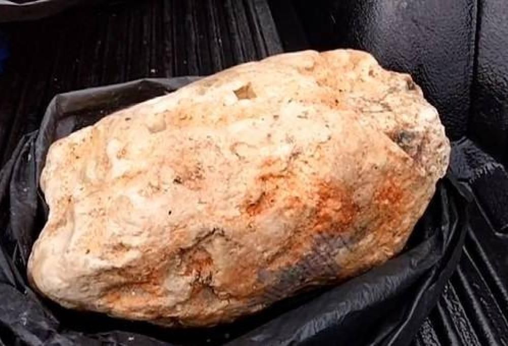 Pescatore thailandese potrebbe guadagnare milioni grazie al vomito di balena