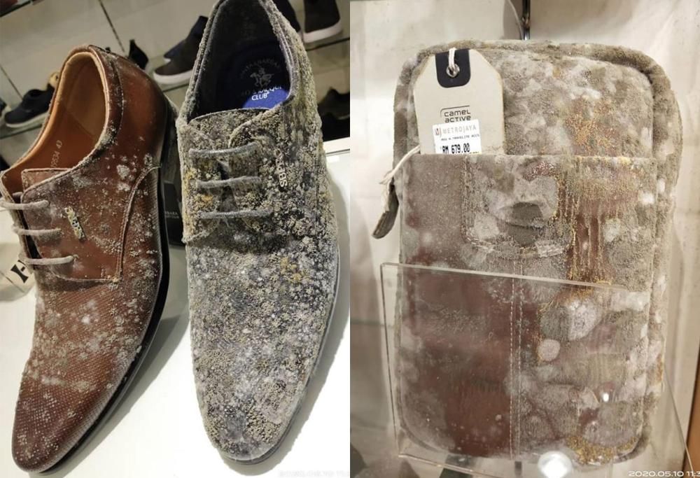 Attività riapre dopo 53 giorni dalla chiusura e trova muffa su tutti i prodotti in pelle