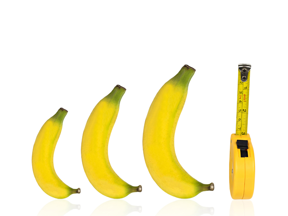 Perché l'uomo ha un pene più grande rispetto alle scimmie?