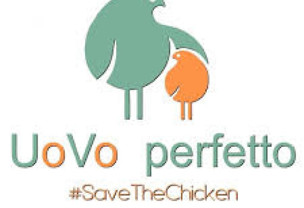 Hai perso “105 Startup”? Riascolta la storia di Giulio Apollonio Founder di Uovo Perfetto