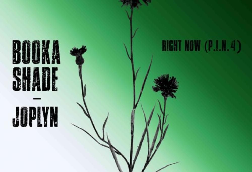 Right Now (P.I.N. 4)