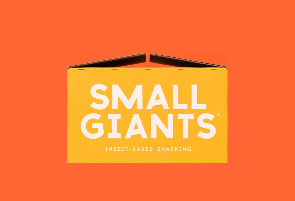 Hai perso “105 Startup”? Riascolta la storia di Francesco Majno Co-founder e CMO di Small Giants