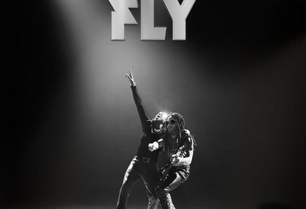 Fly
