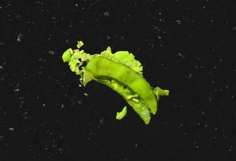 Edamame [Diplo Remix] (feat. Rich Brian)