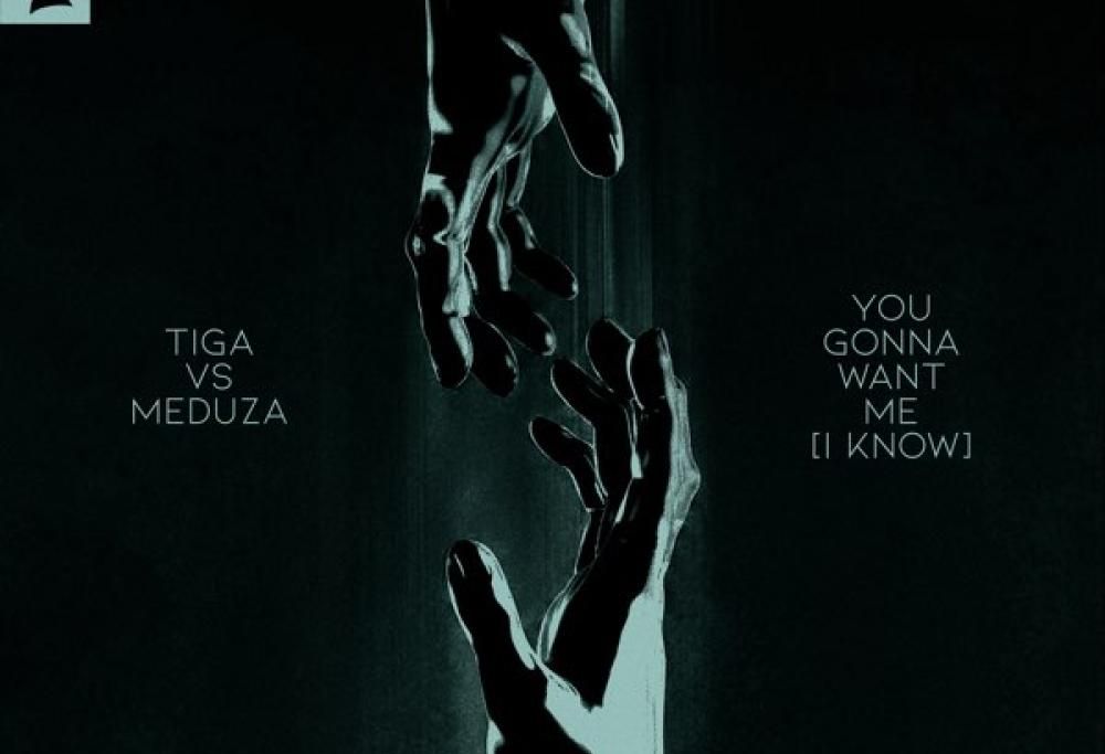 You Gonna Want Me (I Know)