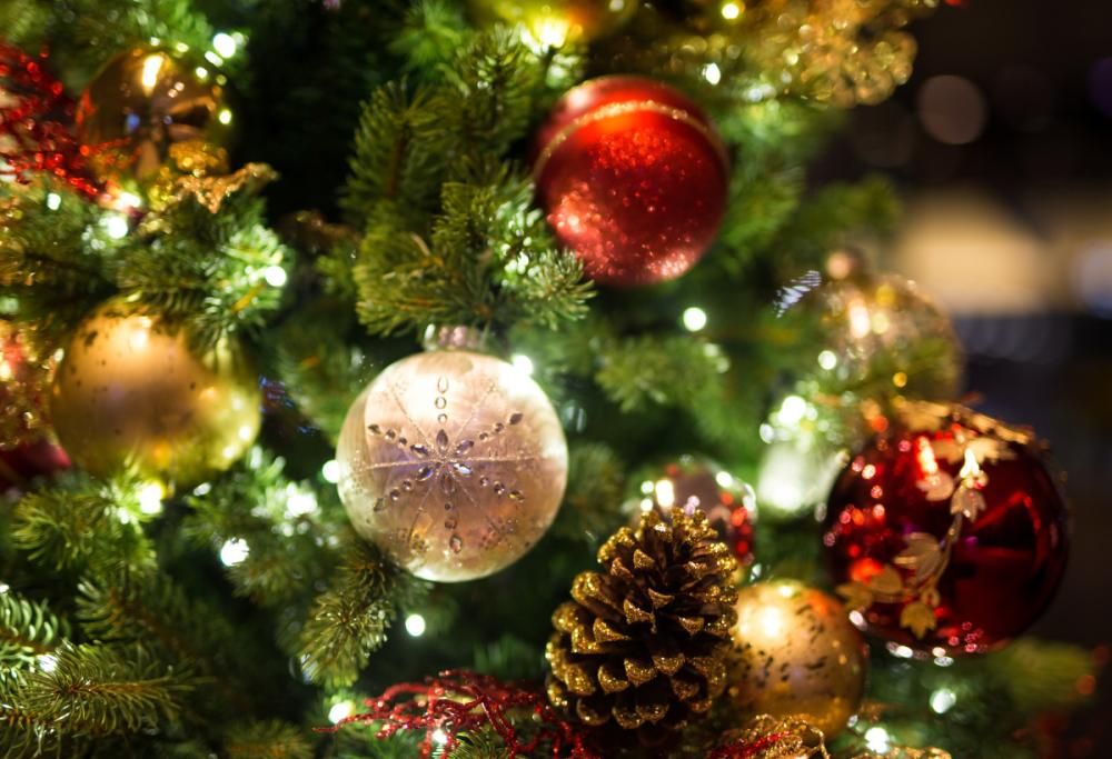 Quando togliere l’albero di Natale? La data per evitare sfortuna