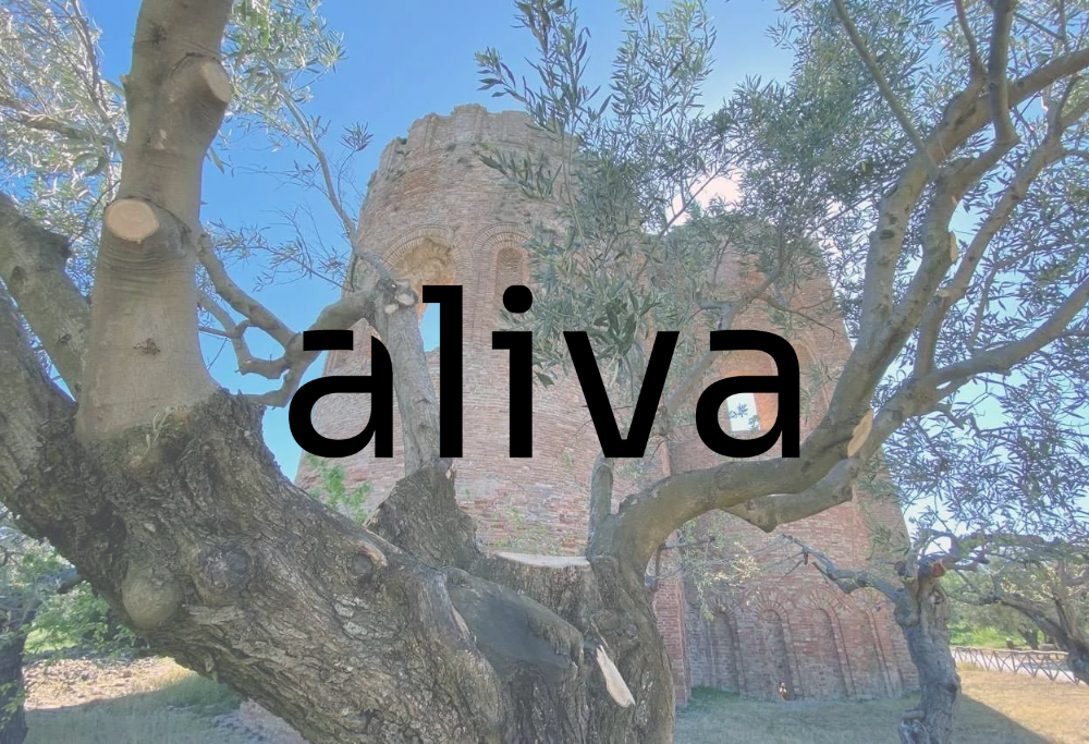 Hai perso “105 Startup”? Riascolta la storia di Antonio Centorrino, Operation Manager & Designer di Aliva