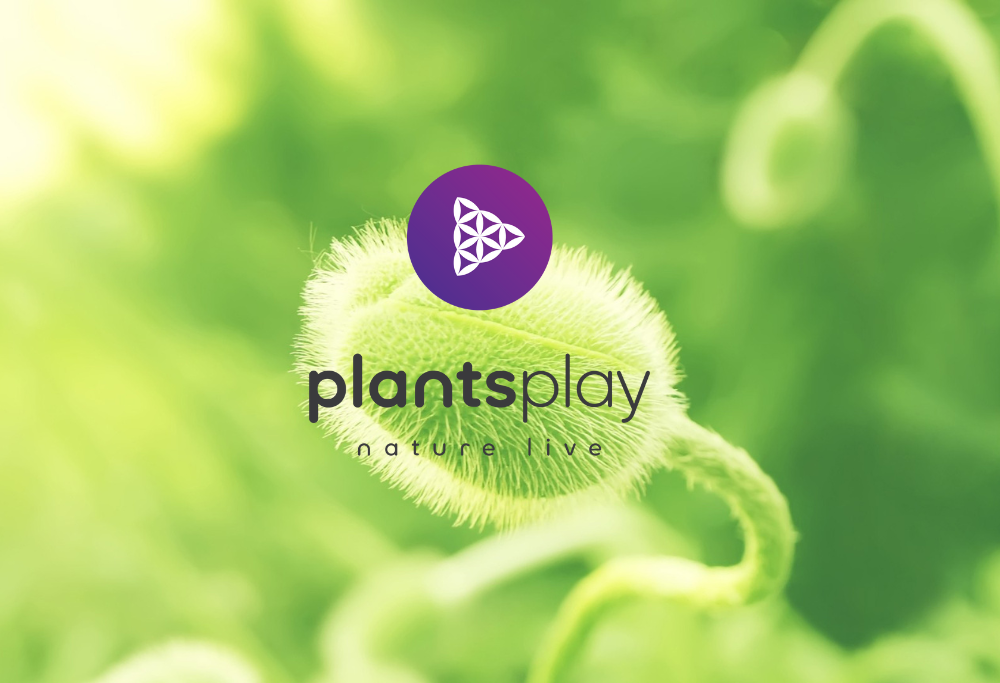 Hai perso “105 Start-up”? Riascolta la storia di Edoardo Taori, CEO e Founder di Plantsplay