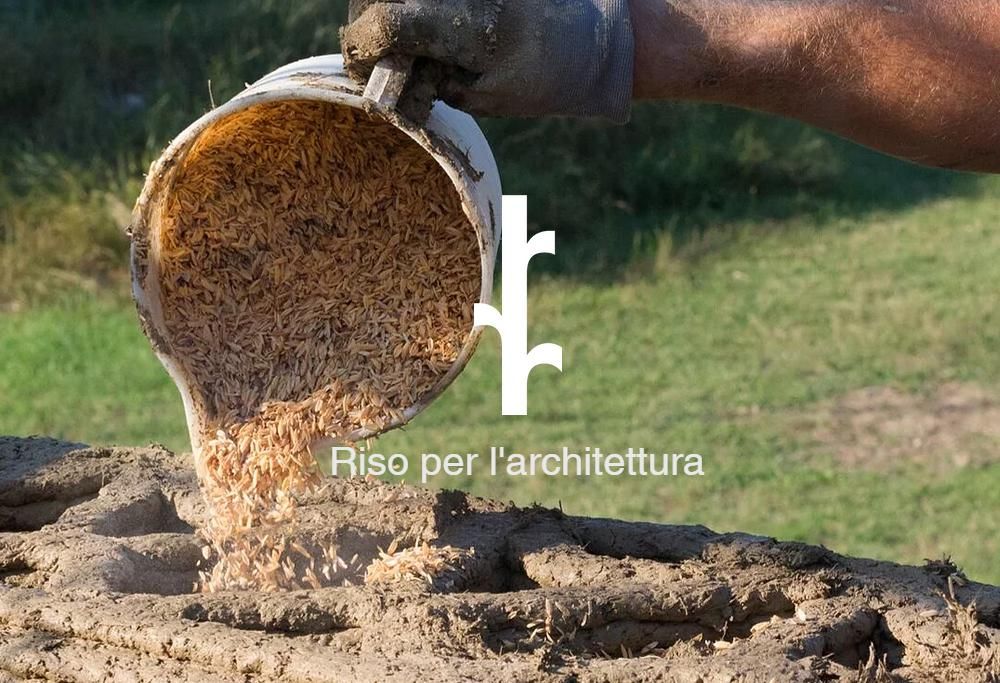 Hai perso “105 Start-up!”? Riascolta la storia di Alessio Colombo, CTO e Co-founder di RiceHouse