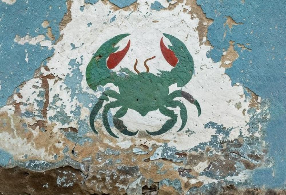 La Tana Del Granchio