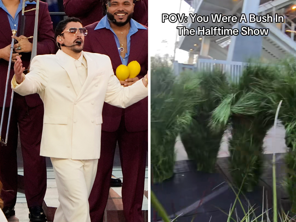 Quanto hanno guadagnato i “cespugli” di Bad Bunny al Super Bowl
