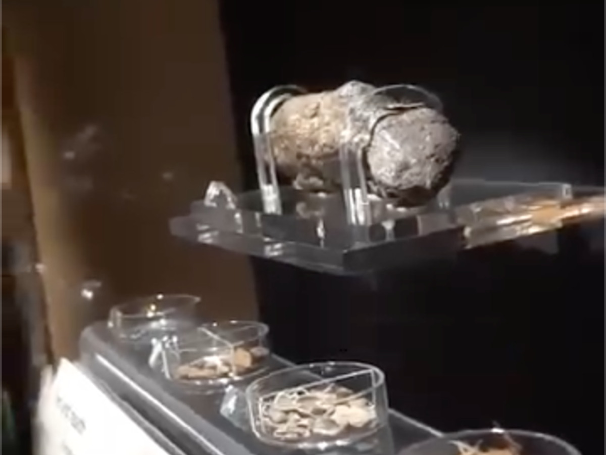 La cacca umana più grande della storia è di un vichingo