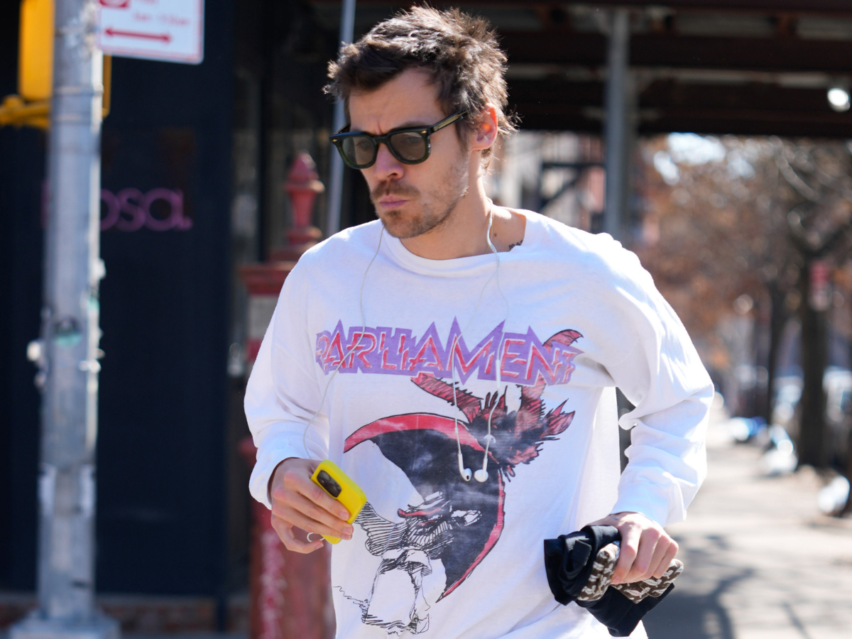 Harry Styles compra una sauna a infrarossi per 20.000 sterline