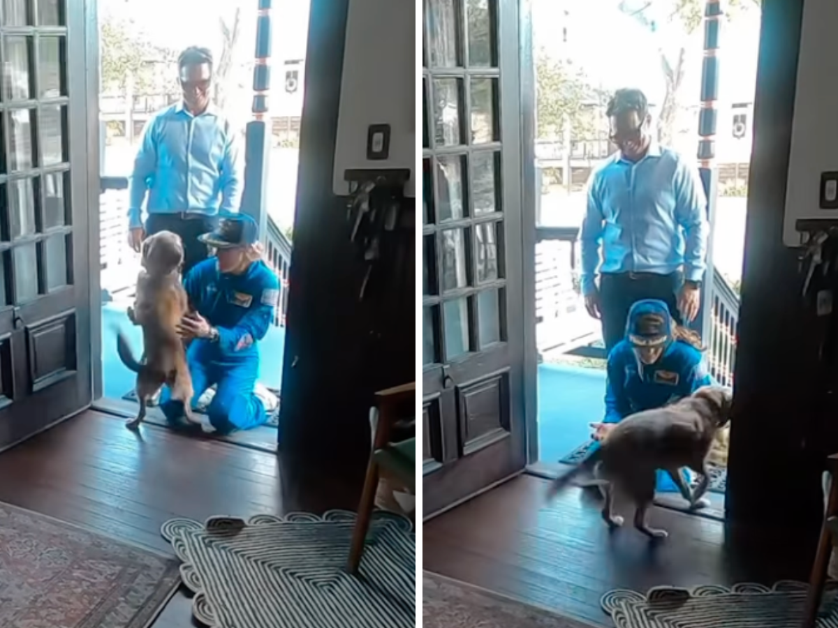 Rientra a casa dalla missione Artemis II: come l’ha accolta il cane