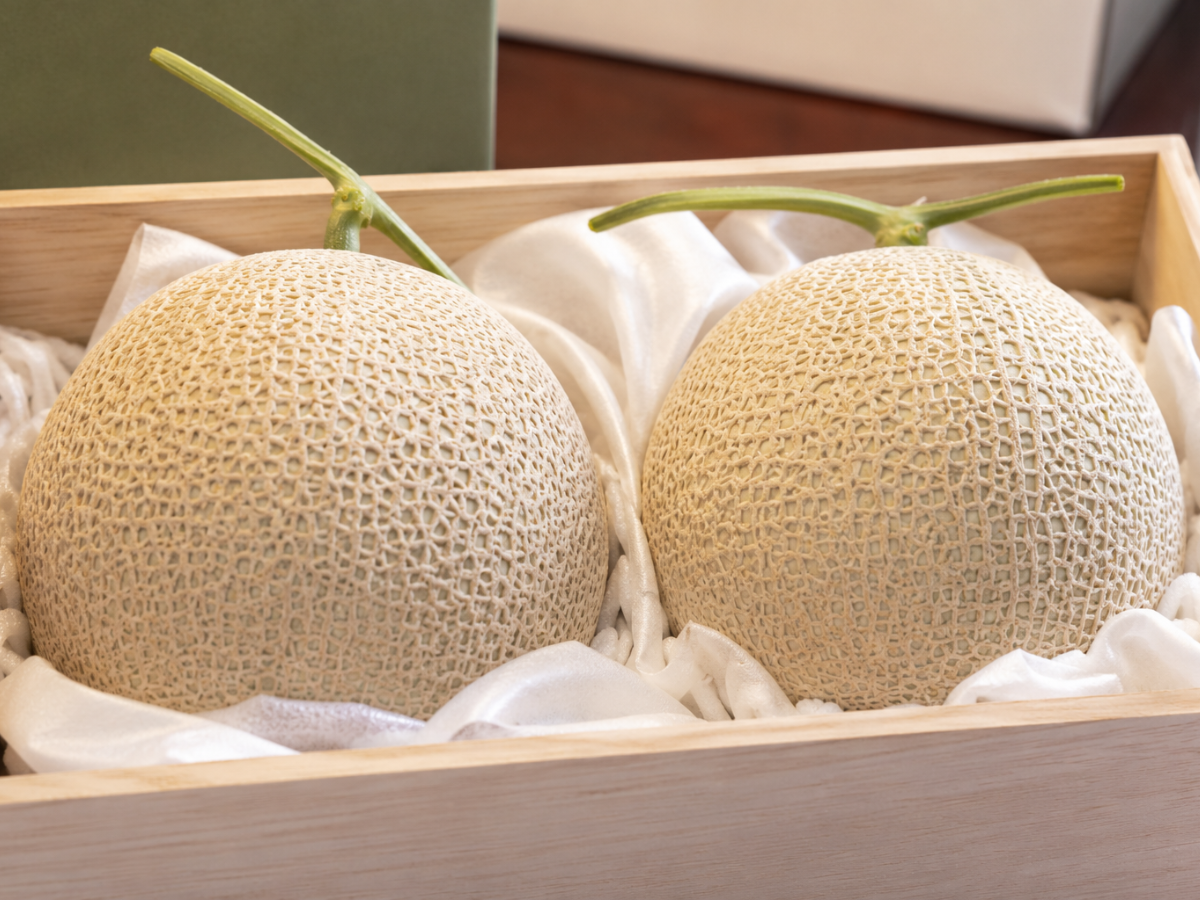 Two ripe cantaloupes with netted beige rinds in a wooden box lined with white fabric.