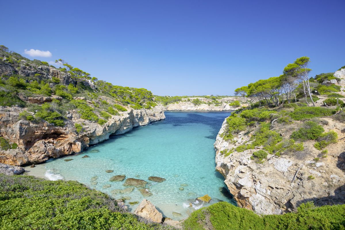 Maiorca_GettyImages-554887041