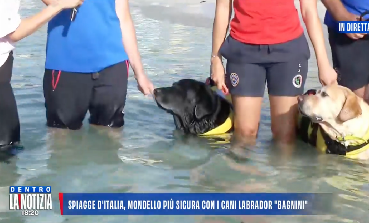 Palermo, arrivano i cani bagnini