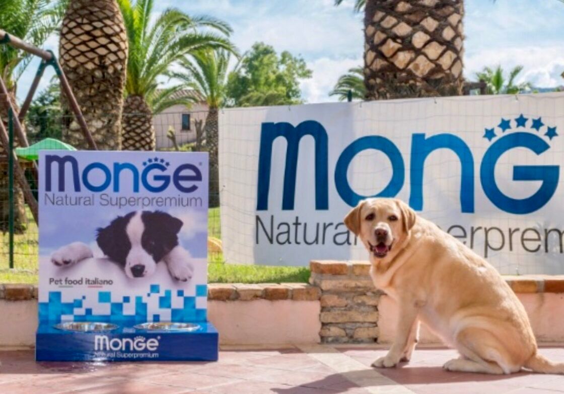 SUPER NEW ENTRY a 105XMASTERS: MONGE!