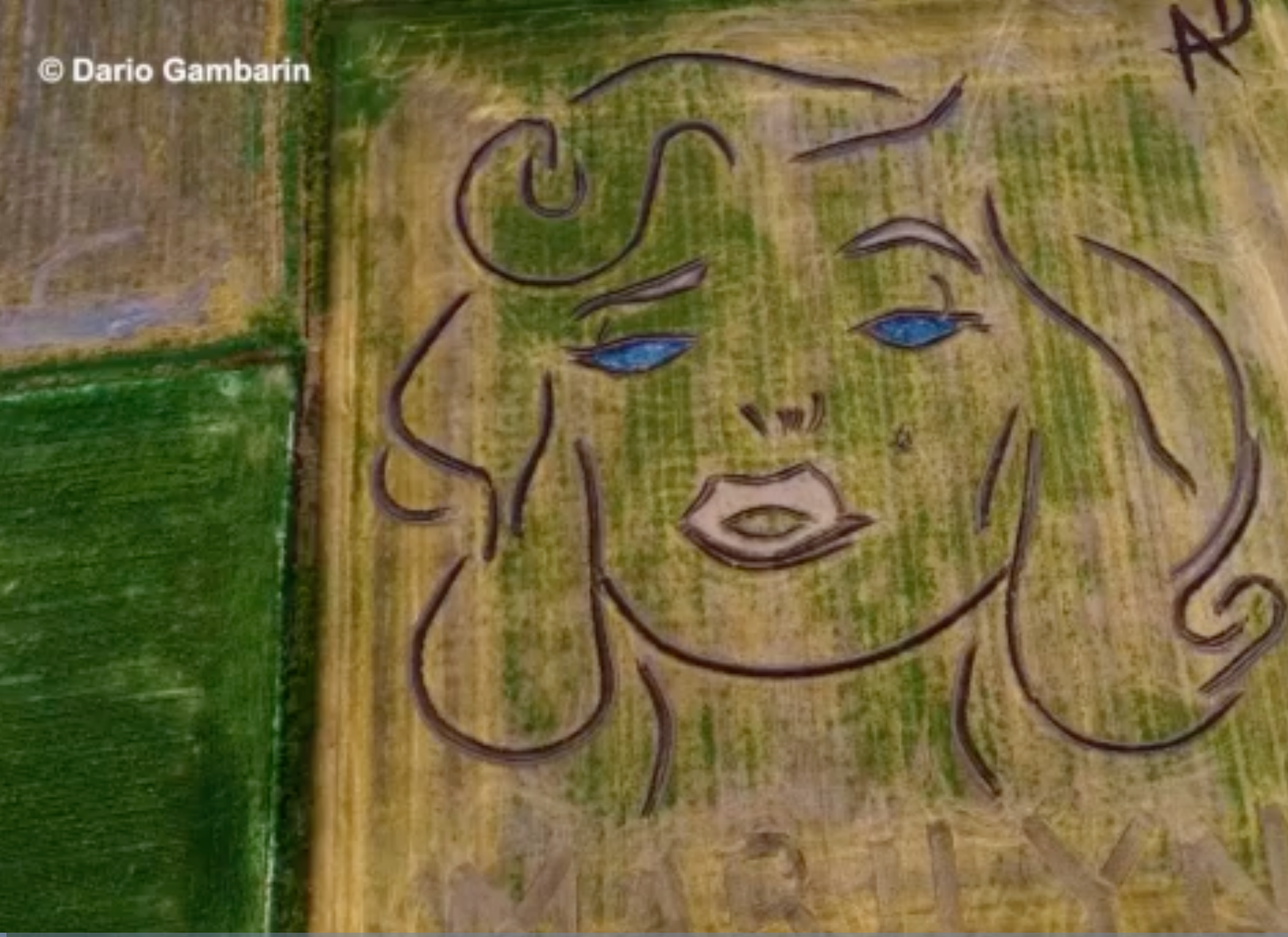 Disegna il volto di Marilyn Monroe su un terreno senza usare il GPS